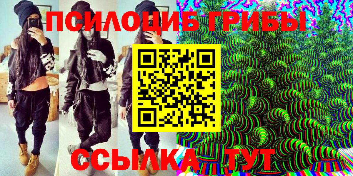 Псилоцибиновые грибы Cubensis Унеча