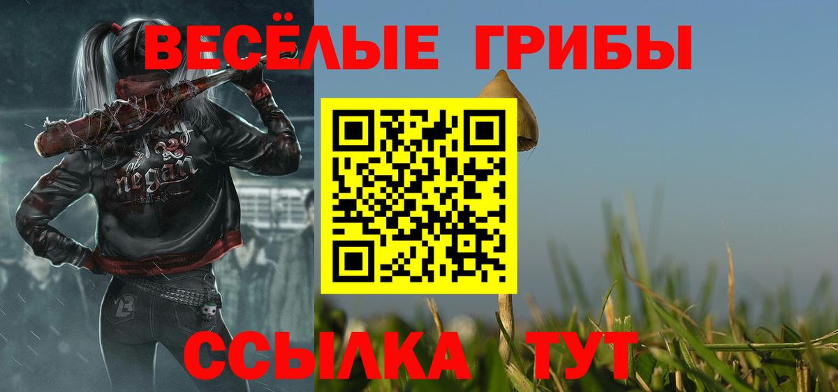 Унеча  Галлюциногенные грибы мицелий  Вход с VPN 